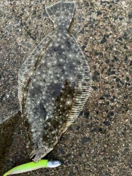 �ҥ��ʥ�����