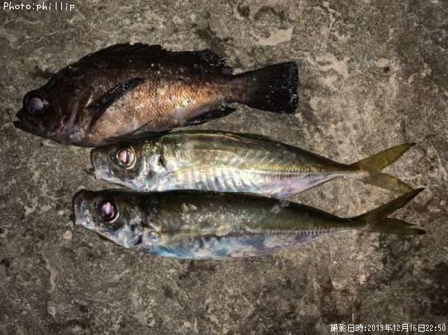 ��������Х�