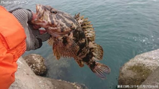 �����Υ���Х롦�����ʥ�