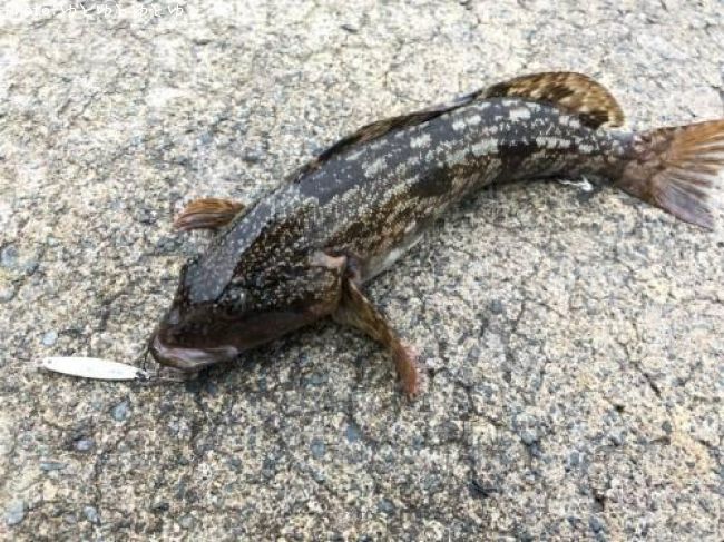 �����ʥ�