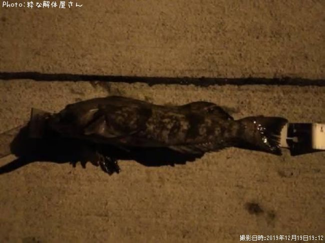 �����ʥ�