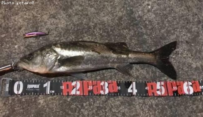 �����Х�