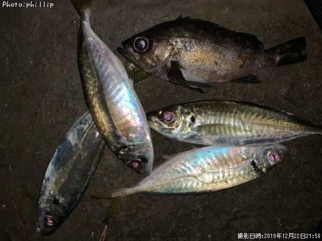 ��Х롢����