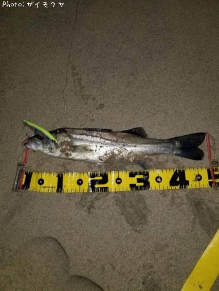 �����Х�