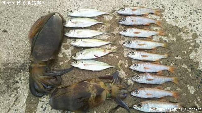 �����ꥤ������ġ�����