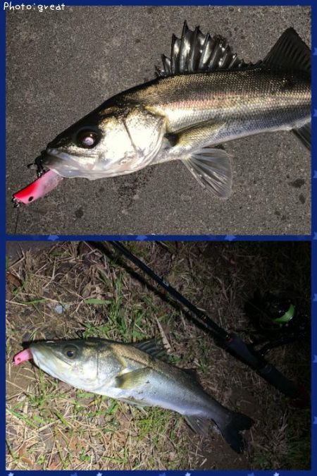 �����Х�