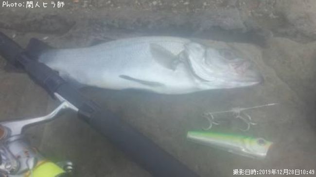 �ҥ饹����