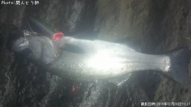 �ҥ饹����