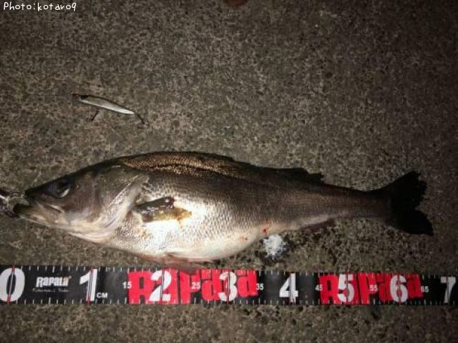 �����Х�