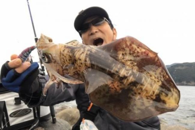 �����ꥤ��