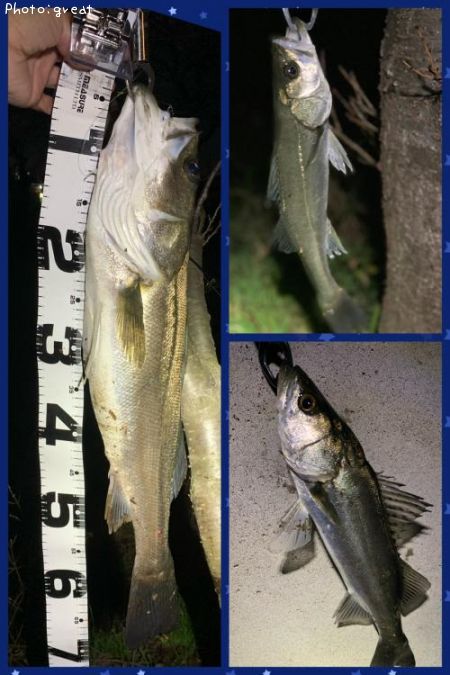 �����Х�