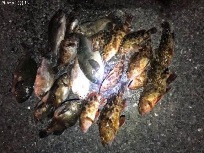 ����������Х롢�����������ʥ����᥸��