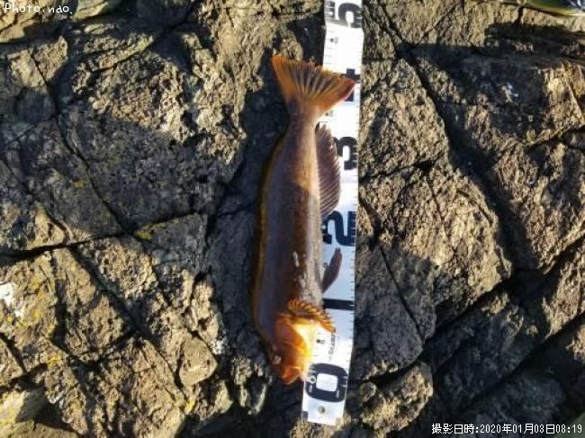 �����ʥ�