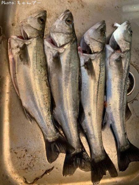 �����Х�