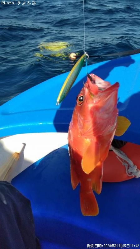 �����ϥ�