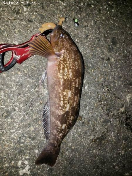 �����ʥ�