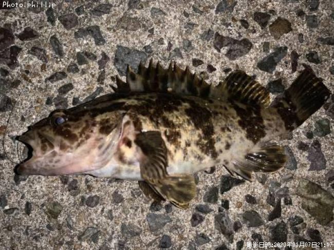 �����Υ���Х�