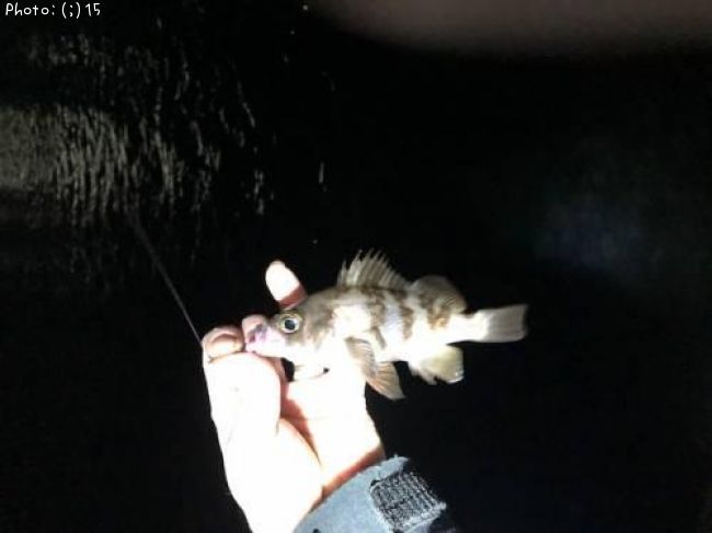 ��Х롢����