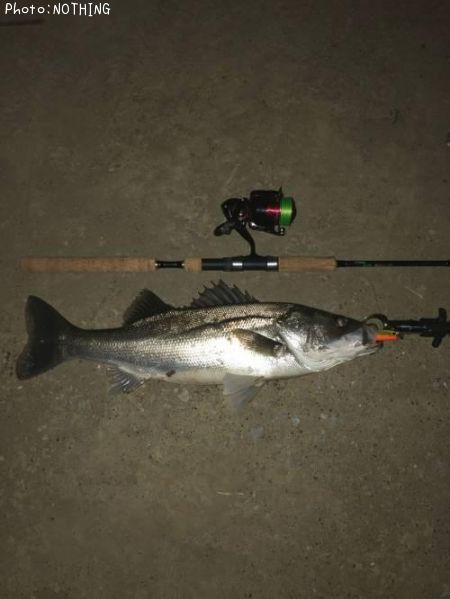 �����Х�