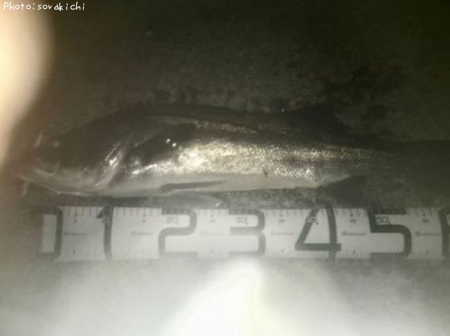 �����Х�