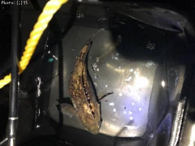 ������������