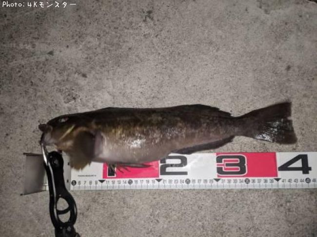 �����ʥ�