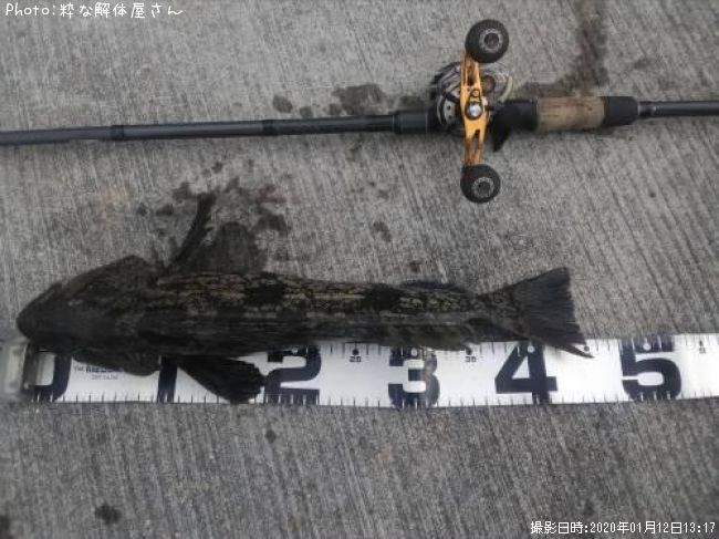 �����ʥ�