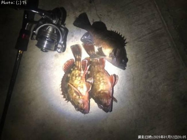 ��Х롢����