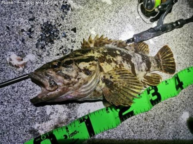 �����Υ���Х�