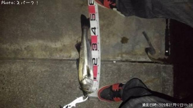 �����Х�