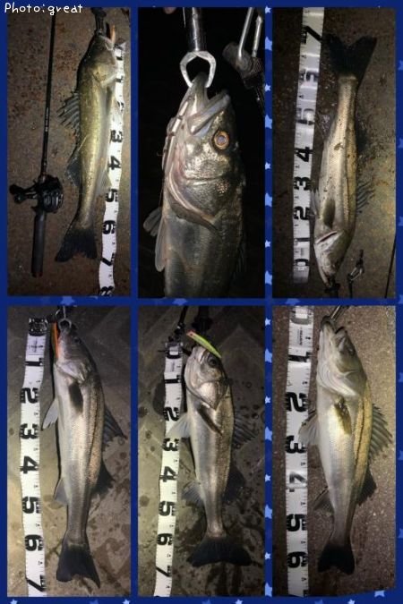 �����Х�