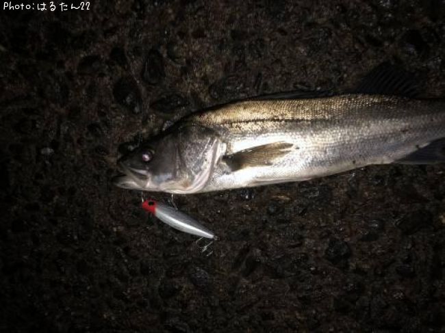 �����Х�