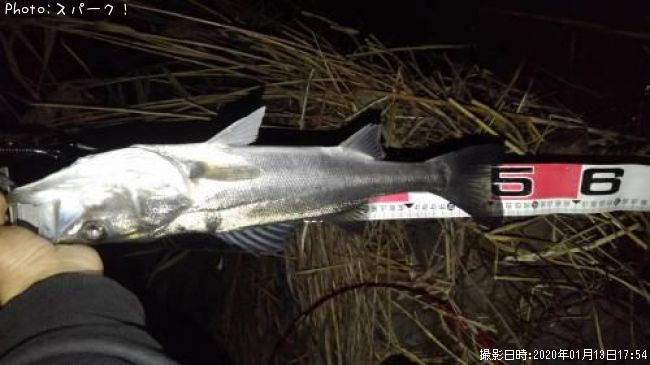 �����Х�