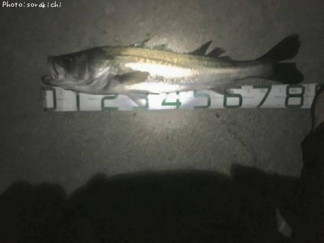 �����Х�