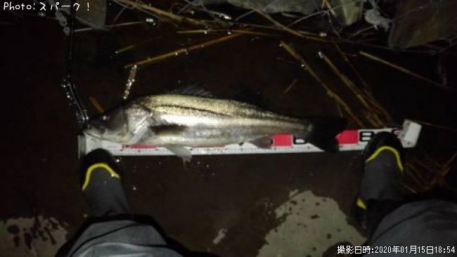 �����Х�