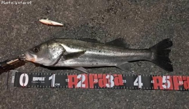 �����Х�