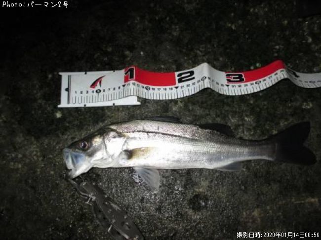 �����Х�