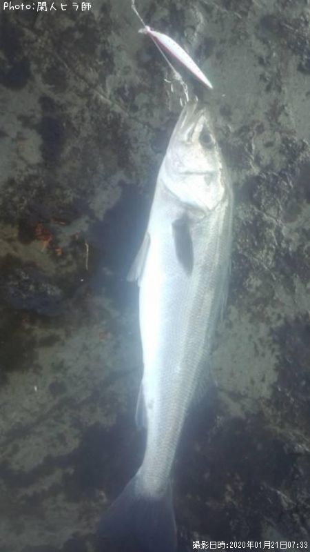 �����Х�