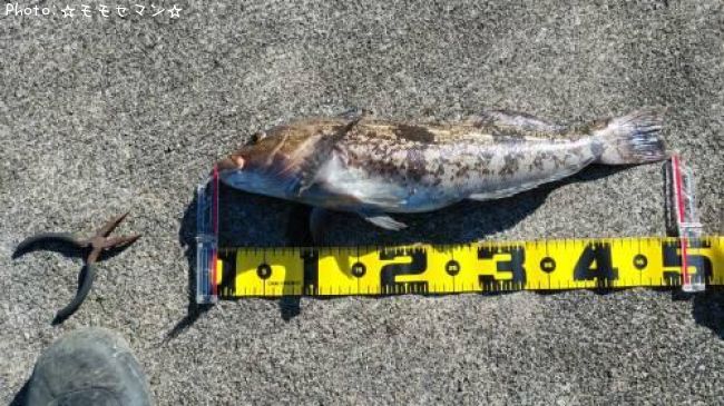 �����ʥ�