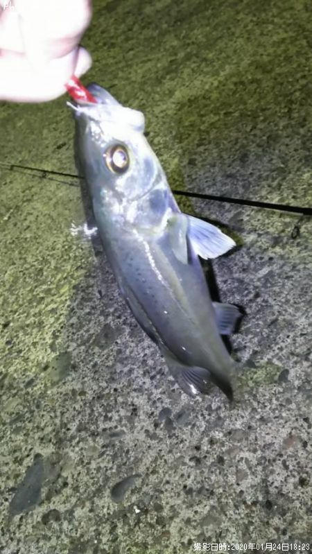 �����Х�