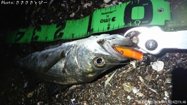 �����Х�