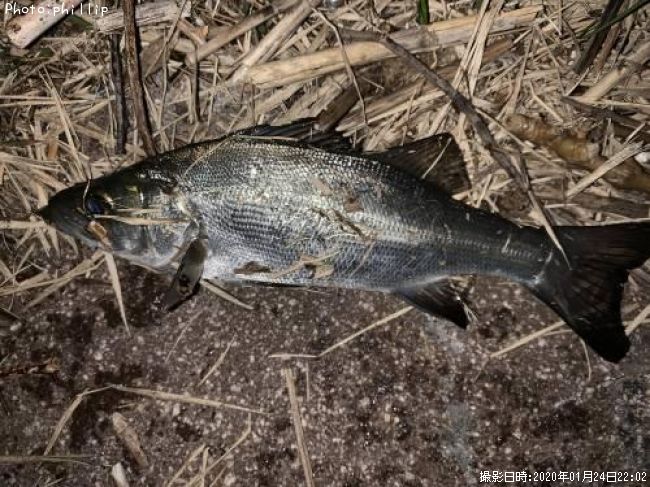 �ҥ饻����