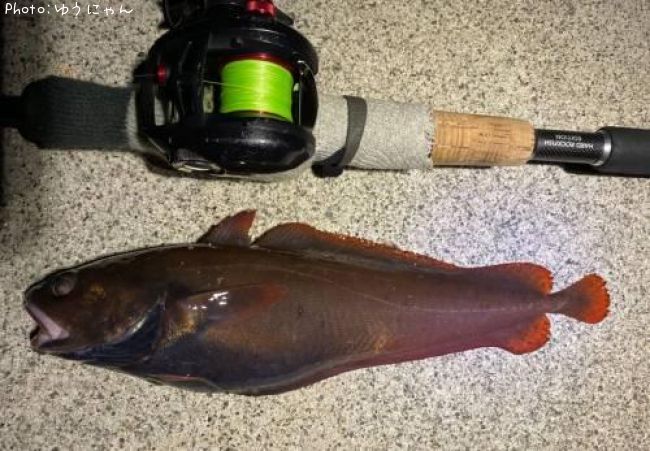 �������������ʥ�