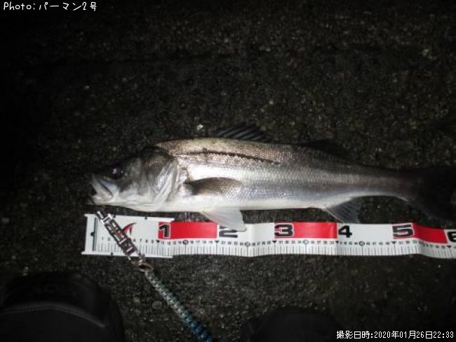 �����Х�