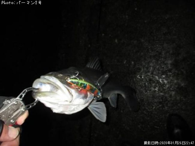 �����Х�