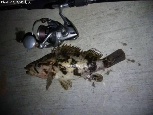 �����Υ���Х�