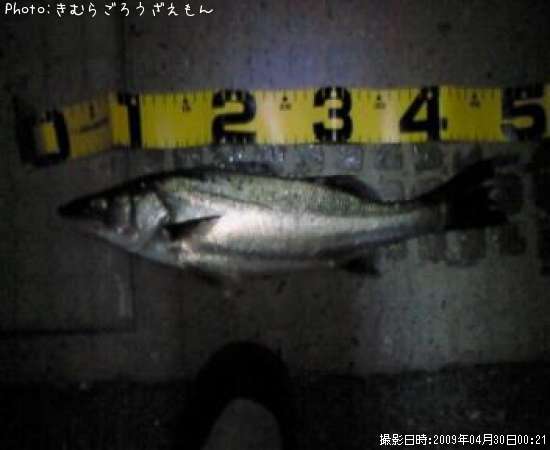 �����Х�