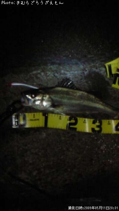 �����Х�