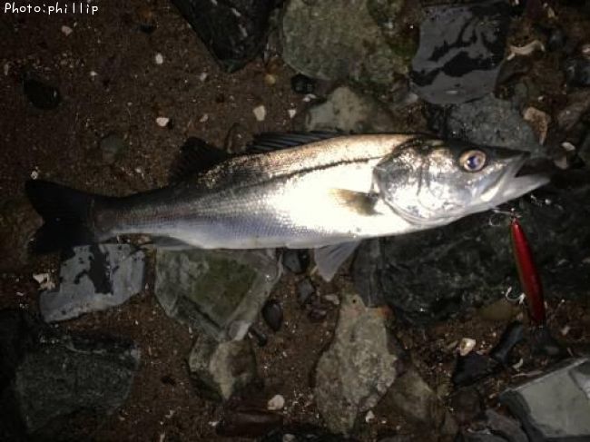 �����Х�