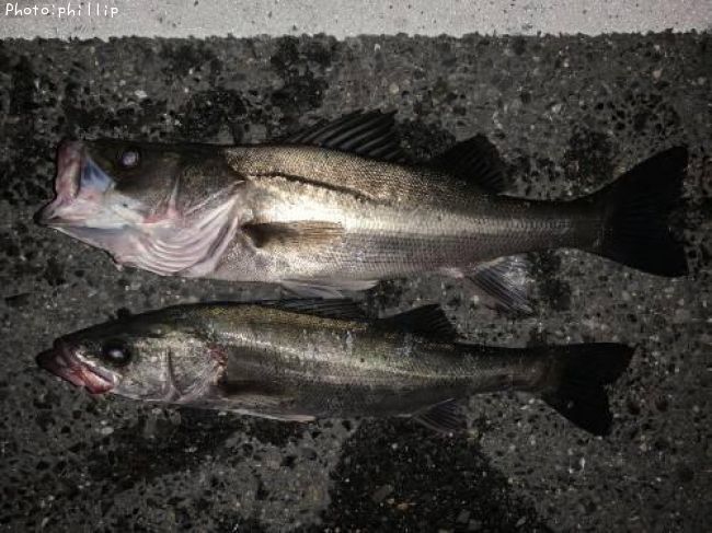 �����Х�